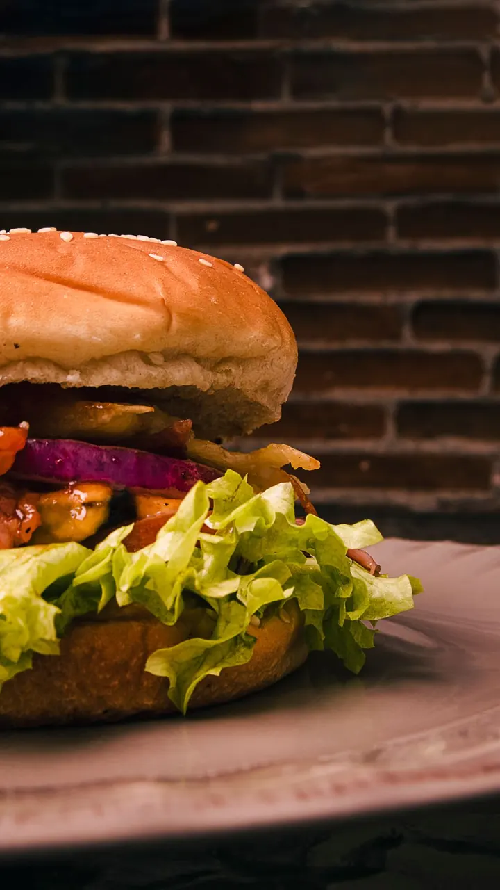 Hamburguesa sencilla vista de cerca, Brasa & Humo, San José
